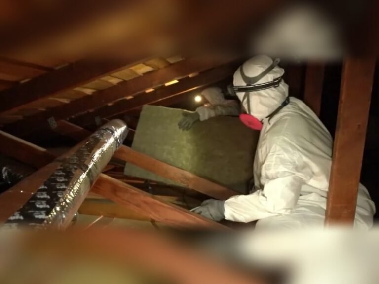 attic cleaning